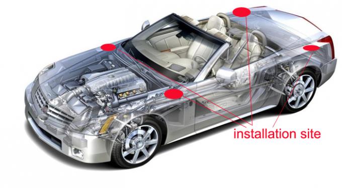 L'antenna radiofonica per l'automobile, antenna della sostituzione a 31 pollici del tetto dell'automobile riceve i segnali